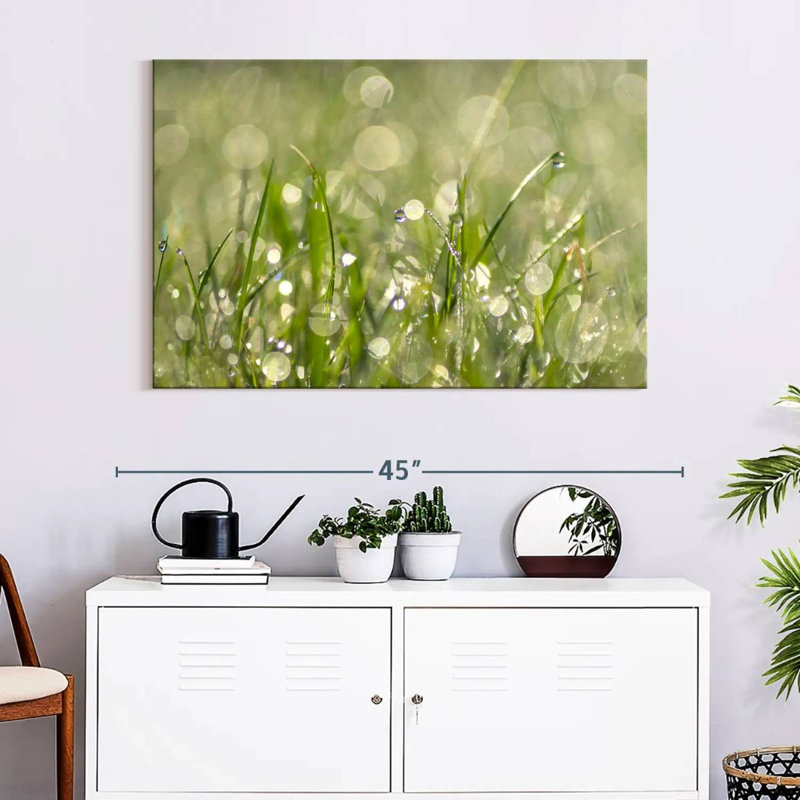 Harnek Raindrops On Grass Abstract, 26" H x 39" W