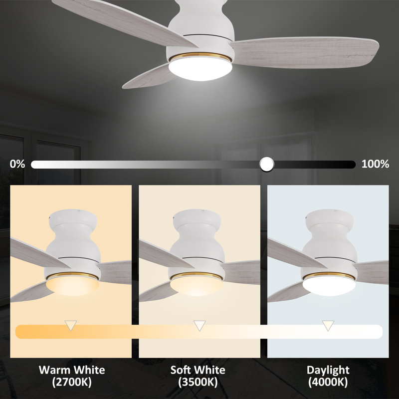 Ogdensburg 44'' Ceiling Fan with LED Lights, White/Light Wooden