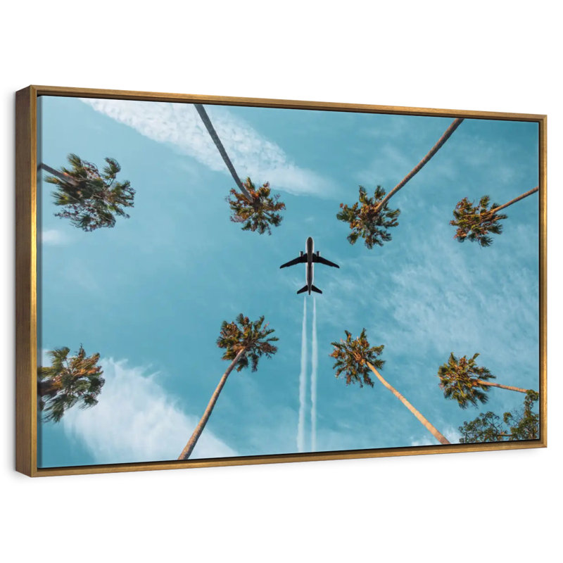 Avion au-dessus de palmiers, Cadre flottant doré, 13 po x 9 po