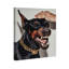 Baby Doberman Print by Oliver Gal-2008815691-2008815710