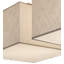 8 - Light Flush Mount