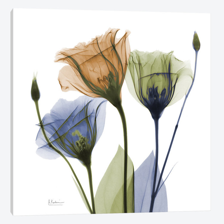 «Gentian Buddies» par Albert Koetsier, reproduction d'art graphique sur toile, H 18 po x l 18 po x P 1,5 po, Toile tendue