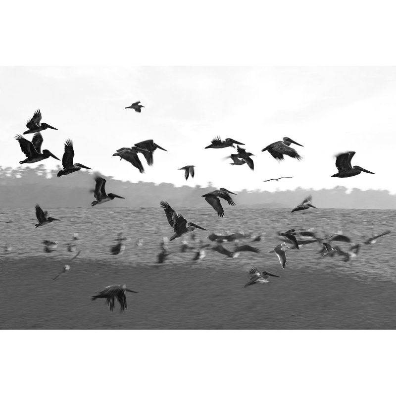 Estuary - Picture Frame Photograph on Paper , 22.5" H x 31.5" W, Black Framed