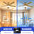 Betzie 52'' Ceiling Fan with LED Lights