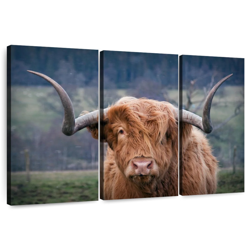 Brampt Wooly Highland Cow, H 42 po x l 65 po