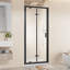 Porte de douche pliante