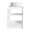 Meuble-lavabo simple autoportant de 20 po avec lavabo et deux armoires de rangement-117800637