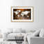 World Map In Brown - Single Picture Frame Print-1650663057-1650663053
