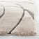 Ashal Abstract Cream/Gray Area Rug
