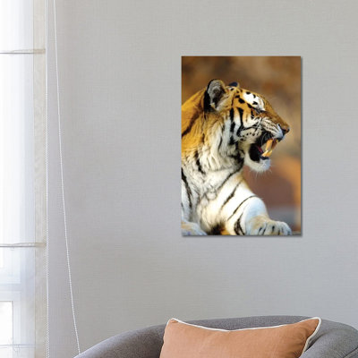 Tiger by Goran Anastasovski - Wrapped Canvas Print