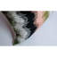 Napa Silk Lumbar Pillow Cover & Insert