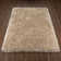 Petrey Indoor Rug
