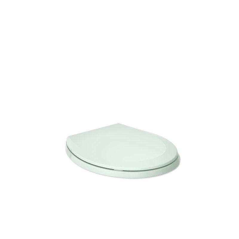 Lustra with Quick-Release Hinges Toilet Seat, Seafoam Green, Round
