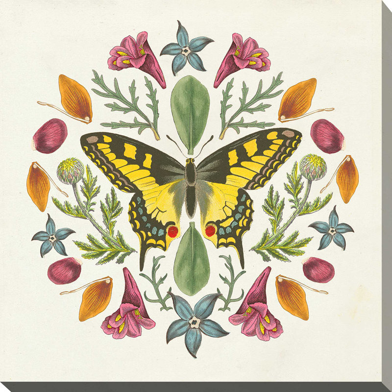 « papillon mandala iii », impression, H 24 po x l 24 po x P 1,5 po, Toile tendue