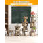132cm H x 46cm W Bookcase
