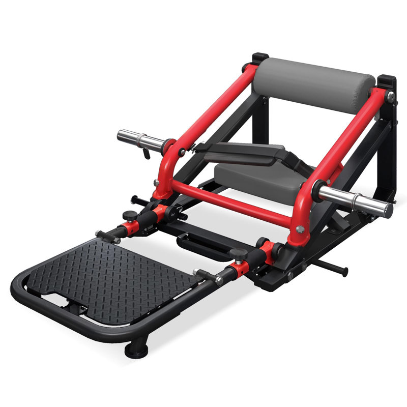 Machine de poussée de hanche avec pied de lit réglable, machine à pont de fessier à chargement par plaque de 800 lb avec support de poids