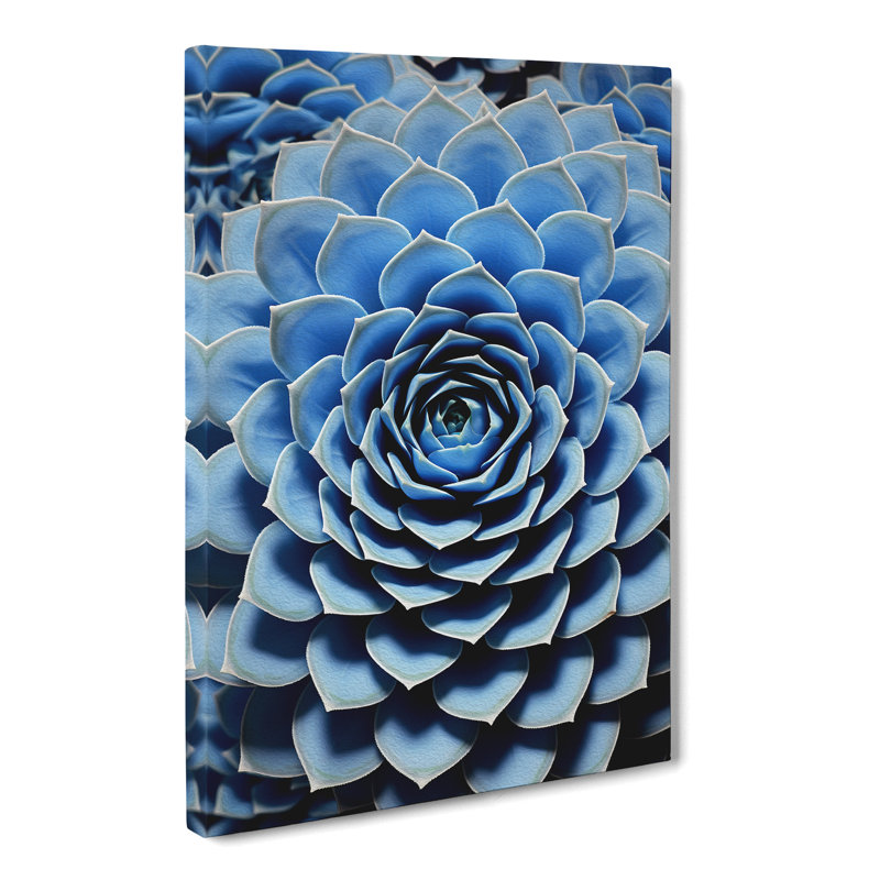 Succulent Op - Print, 76cm H x 50cm W x 3cm D