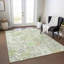 Machine Washable Indoor/Outdoor Claudian ACN1506 Aloe 1'8" x 2'6" Rug-109534696