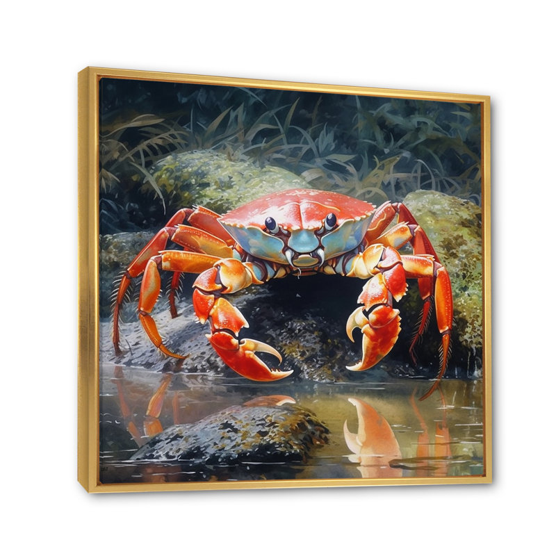 Crab Beachcombers III sur impression sur toile, Cadre flottant doré, H 36 po x l 36 po x P 1,5 po
