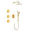 Conception de douche en or Eminemment