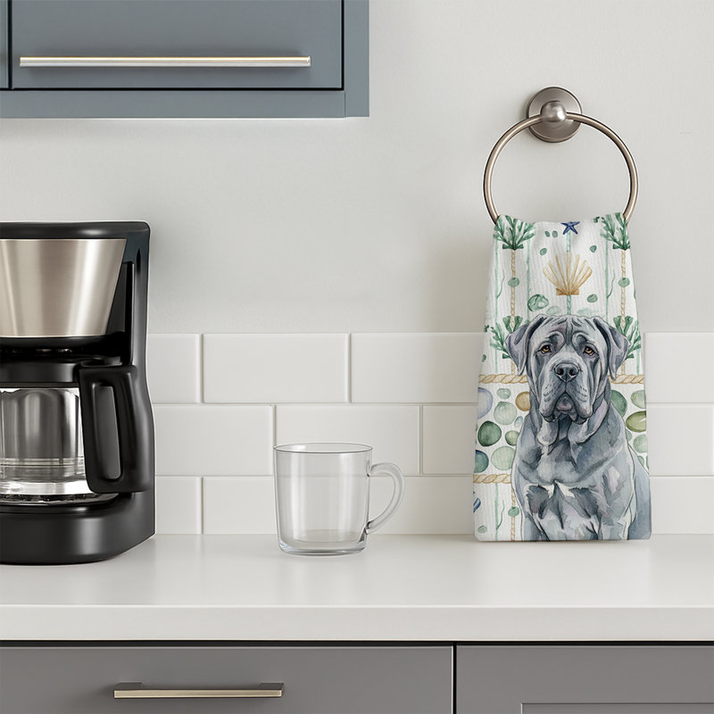 Torchon bleu napolitain, Mastiff napolitain bleu