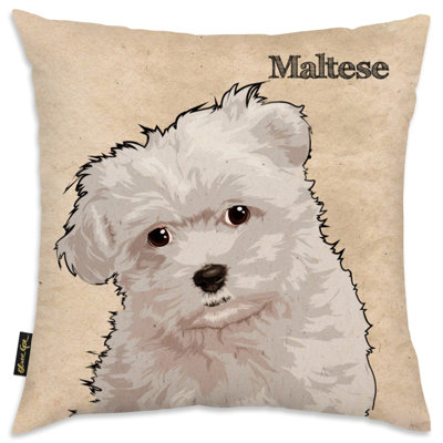  Coussin Maltese