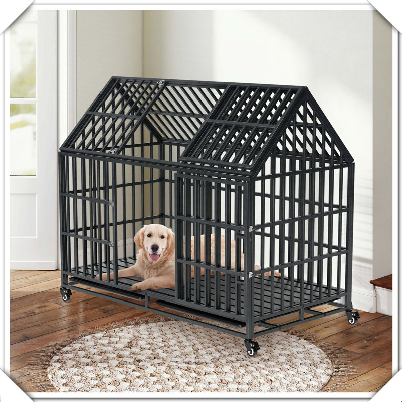 Chenil d'intérieur pour animaux robuste