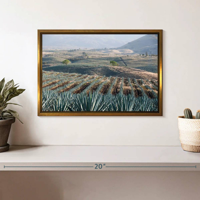 Téquila Jalisco Agave Field, 13 po x 9 po, Cadre flottant doré