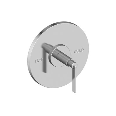 Balanced Pressure Shower Trim Plate With Handle. Less Showerhead, Arm And Flange.