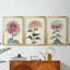 «Chrysanthemum Woodblock I», toile tendue sur mesure avec châssis, 3 pièces-1908128432-1908128429