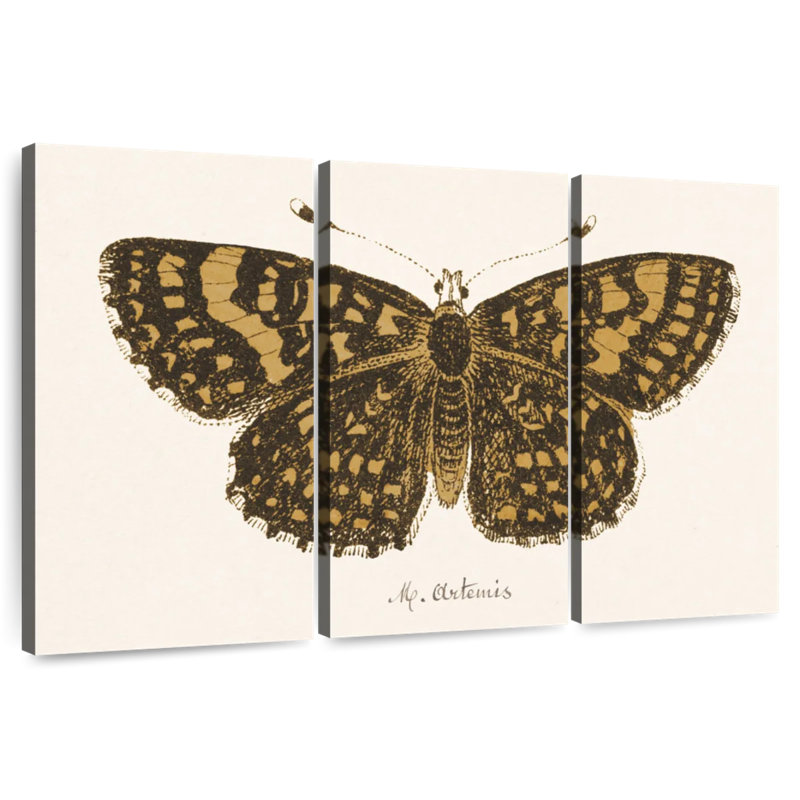 Brampt antique papillon II, H 42 po x l 65 po