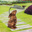 Rabbit, Bird And Leaf Birdfeeder