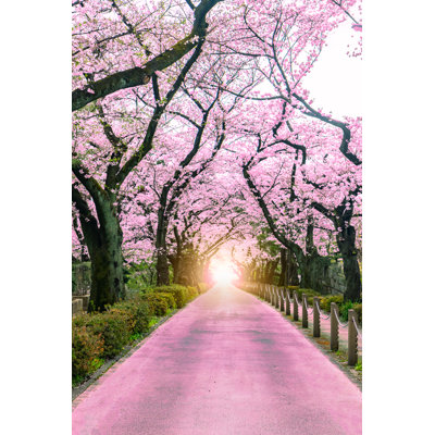 Beautiful Sakura Tree by Pigphoto - Wrapped Canvas Print