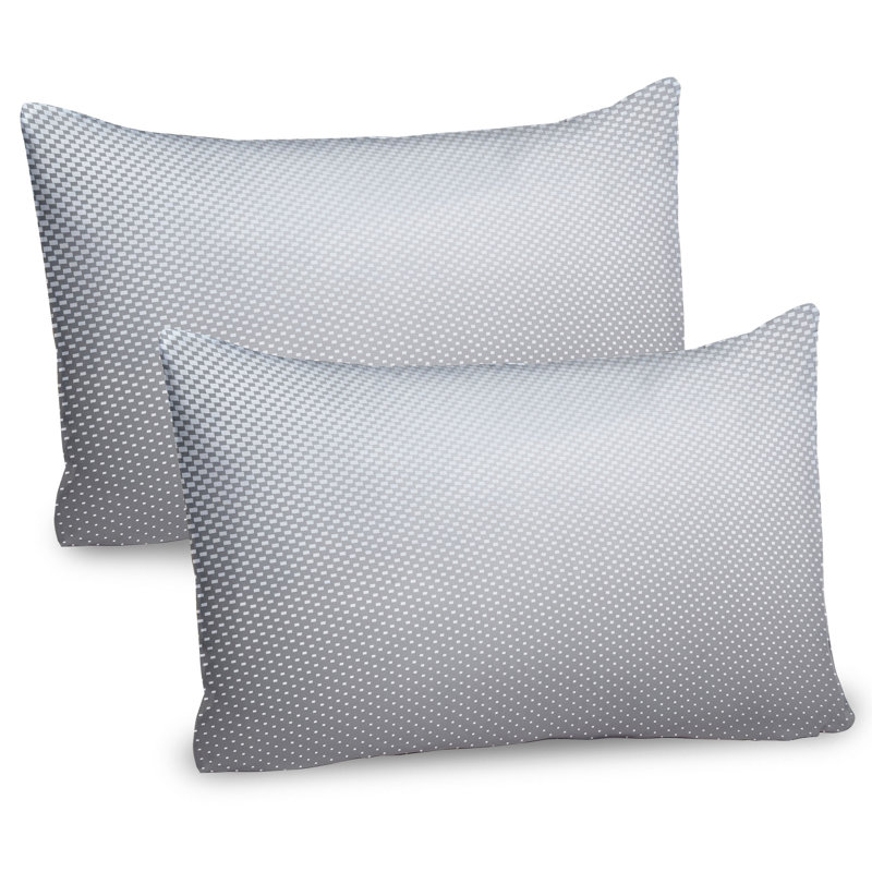 Ensemble de 2 taies décoratives numériques Ambesonne, H 20 po x l 36 po