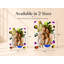 Acrylic Rectangle Picture Frame-1144096853