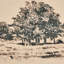 Path View Print by Dan Hobday-1046788912