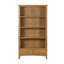 Censu Balyor Painted Oak Large Bookcase