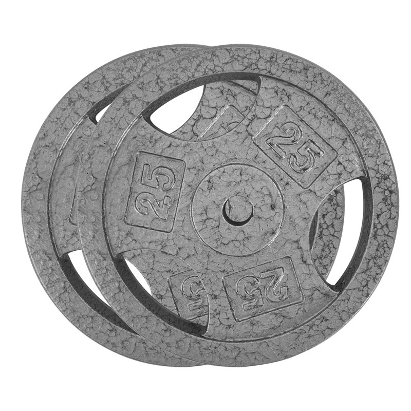 1 plaque de poids en fonte de 1 pouce, une paire de poids de 25 lb avec plusieurs options de poids, des plaques de musculation classiques pour l'athlétisme à domicile