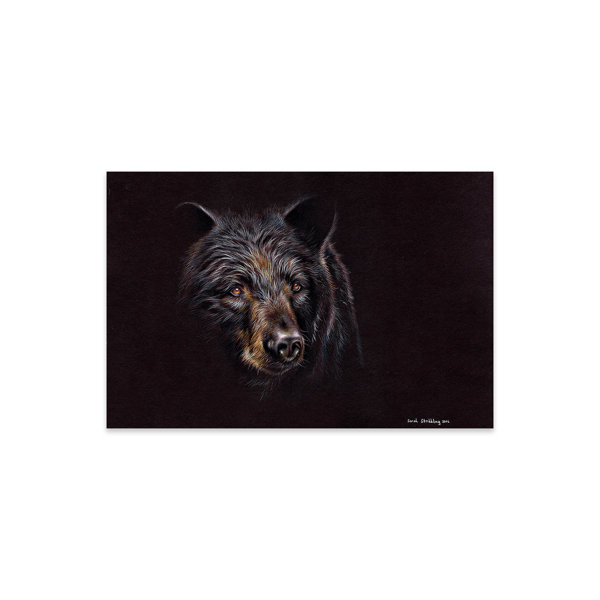 Latitude Run® Bear Black Print On Acrylic Glass | Wayfair