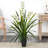 Orchids Arrangement in Planter-179369216