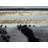 Abstract Flow Tabernash Rug Contemporary Modern Carpet For Living Room-1299495956