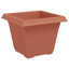 Planter-1849224899-1849224908-1849224915