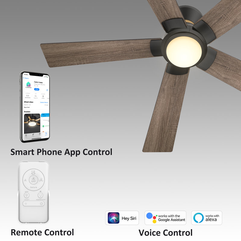 Smart Ceiling Fan With Remote, Light Kit, Works With Google Assistant And Amazon Alexa,Siri Shortcut., 52", Oak