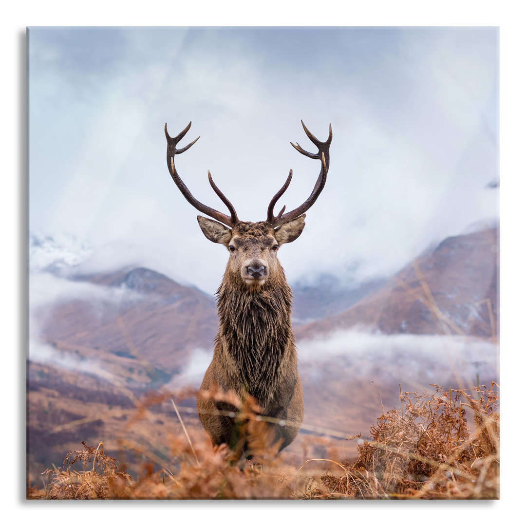 Glasbild Majestätischer Hirsch in Berglandschaft