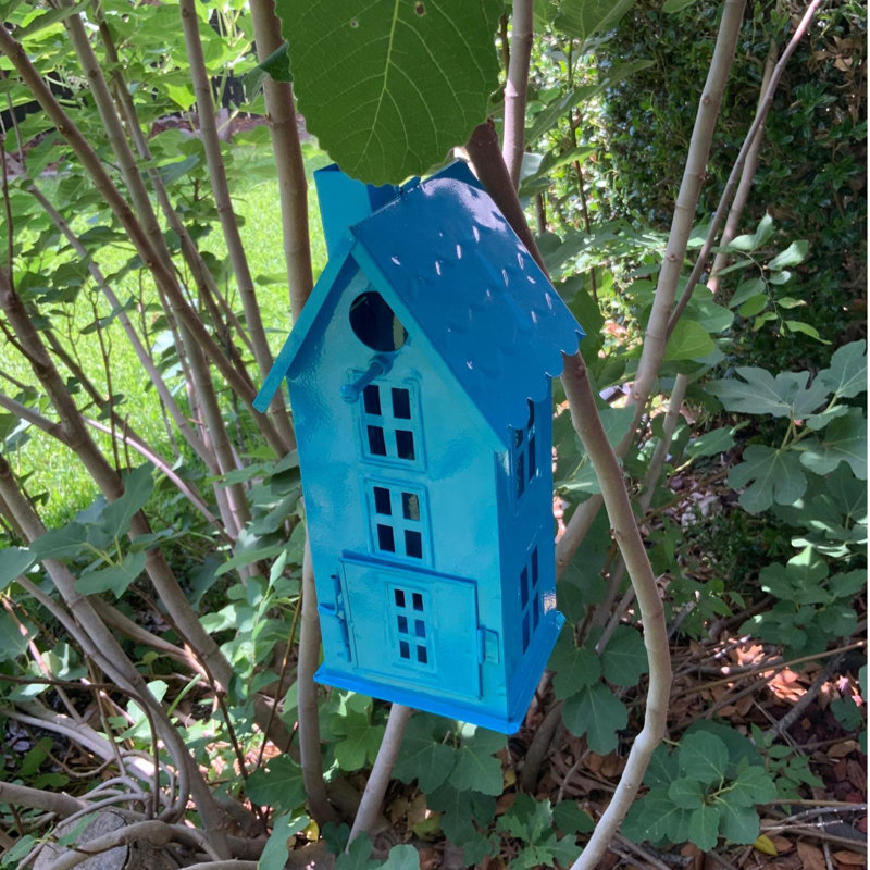 Ice House Bird House Blue