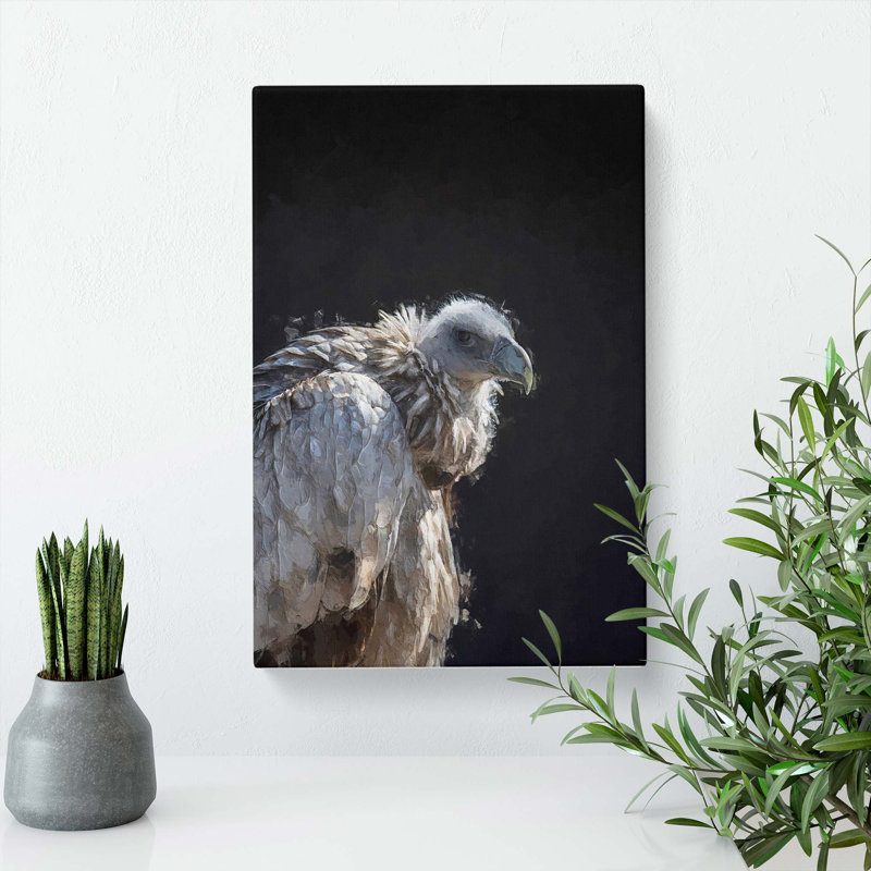Vulture Bird - Wrapped Canvas, 76cm H x 50cm W x 3cm D