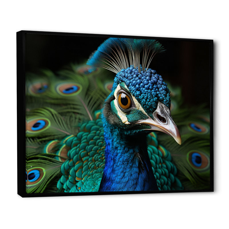Teal Green Peacock Portrait - Animals Wall Art Prints, Cadre flottant noir, H 12 po x l 20 po x P 1 po
