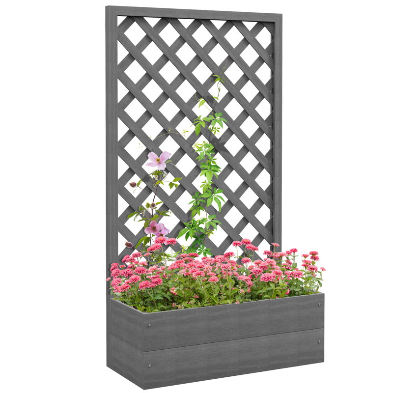 Belva 53.25'' H x 29.25'' W Lattice Panel Trellis, Dark Gray