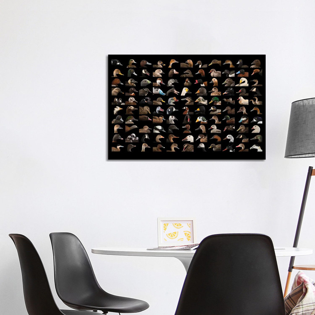 A Composite Of 110 Species Of Ducks And Geese von Joel Sartore - Gallery-Wrapped Canvas Giclée