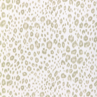 Leopardos